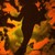 :iconannamundi: