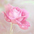 :iconannarosenet: