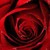 :iconannastarfier: