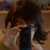 :iconannastark: