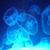 :iconannastesia: