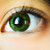 :iconannaterrenal: