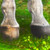 :iconanne-christine: