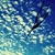 :iconAnneBehrendt: