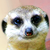:iconannejohnson: