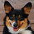 :iconanneliese-g:
