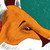 :iconannelune: