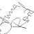 :iconannemograph: