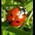 :iconannethe: