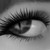 :iconannetta0505: