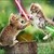 :iconannie-98md: