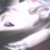 :iconanniegatorr: