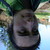 :iconannieodair: