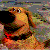 :iconannigan: