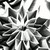 :iconannijace: