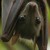 :iconannika51: