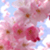 :iconanninap: