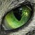 :iconannoyedkitten: