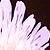 :iconannualize: