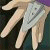:iconannwyd:
