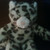 :iconanoep: