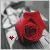 :iconanomalouswanderings: