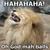 :iconanon-cruz: