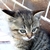 :iconanonymka-007: