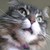 :iconanonymouse-squeek: