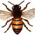 :iconanonymousknown: