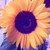 AnOpinionToHear123 :iconanopiniontohear123: