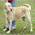 :iconanother1bitesthedust: