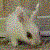 :iconanotherghost: