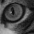:iconanotherordinaryname: