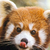 :iconanotherside12: