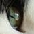 :iconanotherveinattempt: