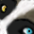 :iconanotherwolf:
