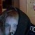 :iconanramcc: