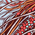 :iconansfhd: