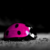 :iconansku98: