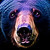 :iconantari-c: