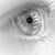 :iconantartax: