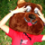 :iconantarticatastrophic: