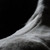 :iconantenitta: