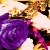 :iconanthail:
