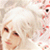 :iconantherlin: