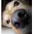 :iconanthonnyag:
