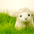 :iconanthraxunicorn: