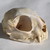 :iconanthrenus: