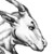 :iconanthro-hooves: